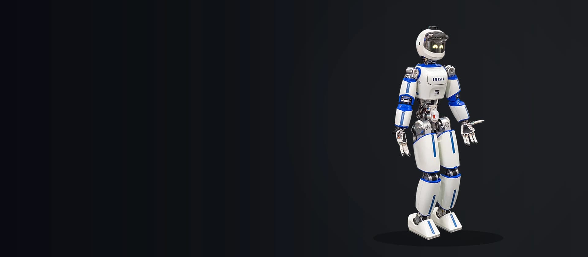 IIT and INAIL ergoCub full-body research humanoid in an official project image